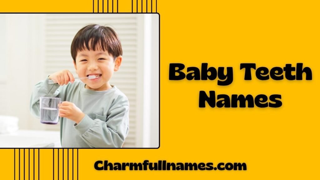 Baby Teeth Names