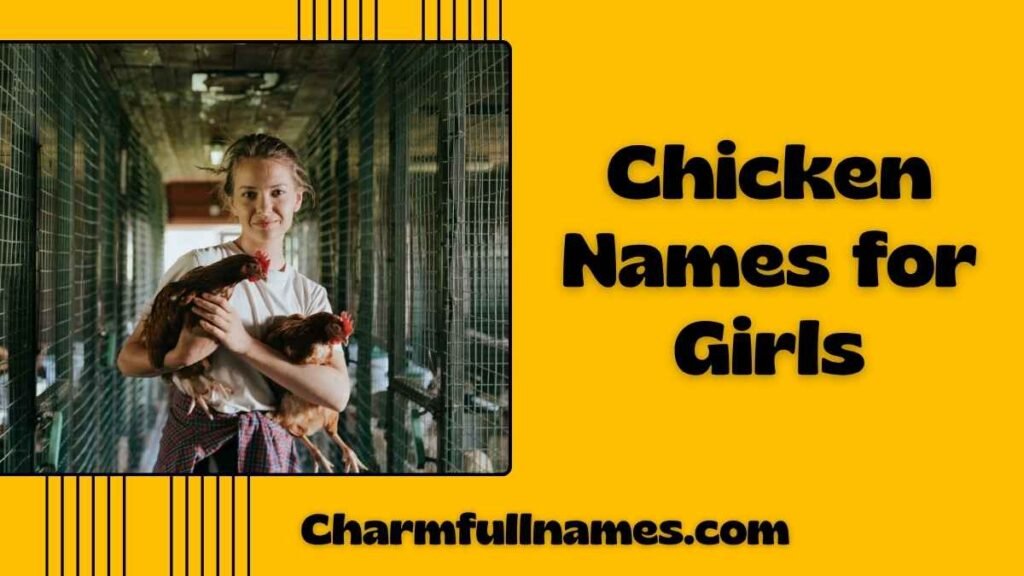 Chicken Names for Girls