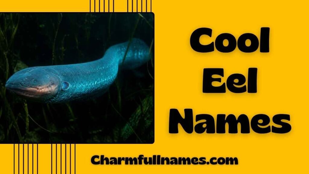 Cool Eel Names