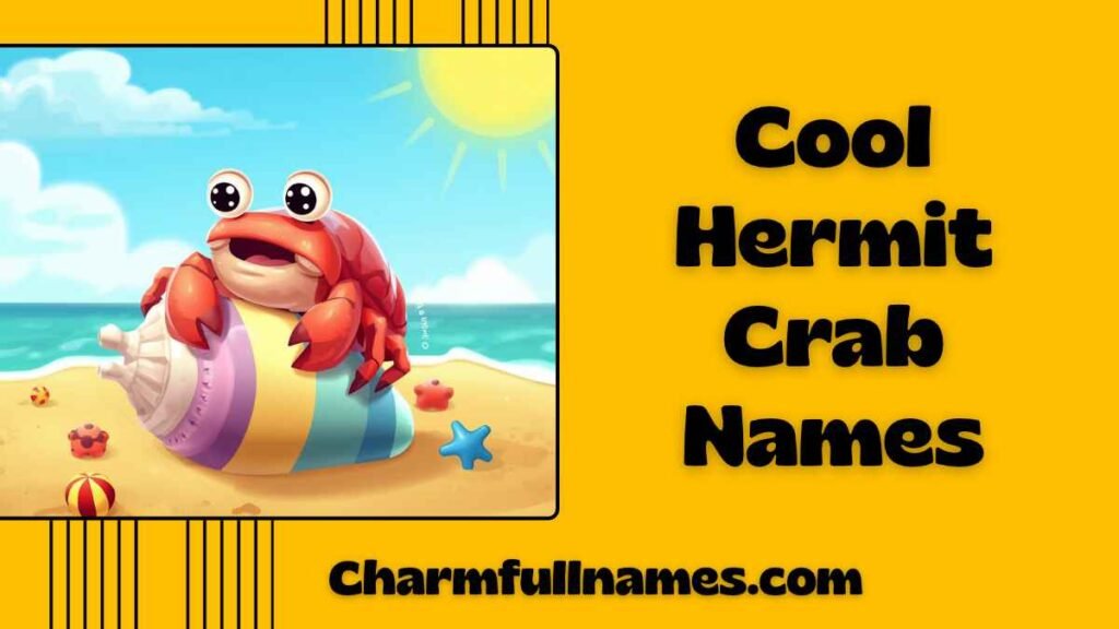 Cool Hermit Crab Names