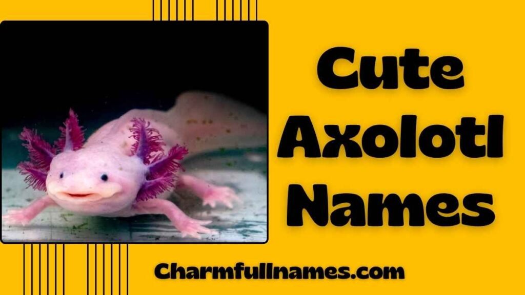 Cute Axolotl Names