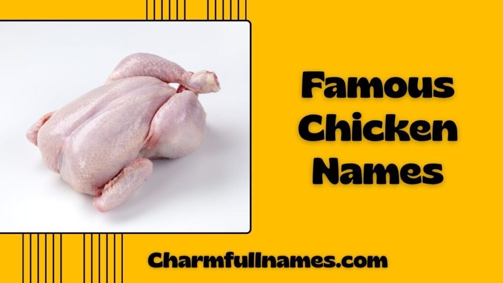Famous Chicken Names