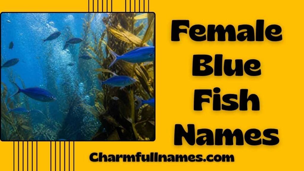 Female Blue Fish Names