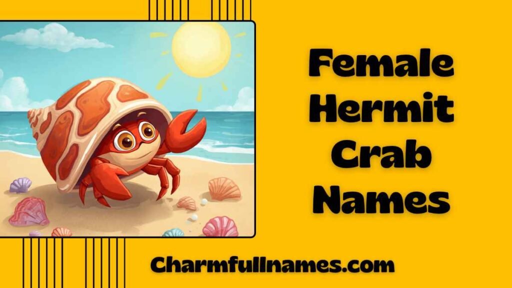 Female Hermit Crab Names