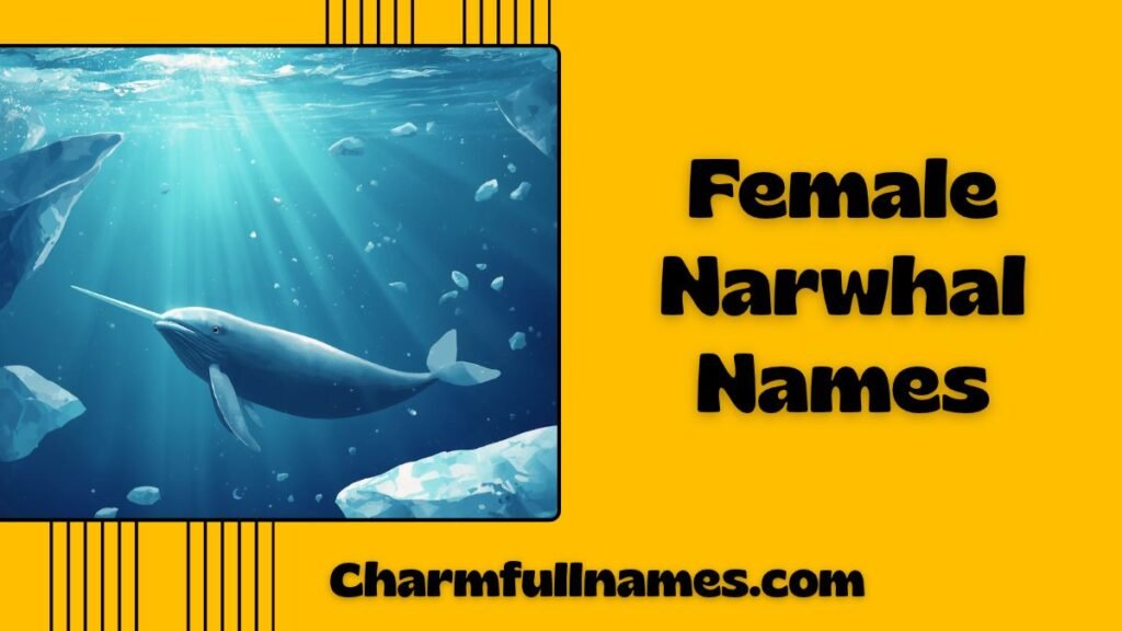 Female Narwhal Names