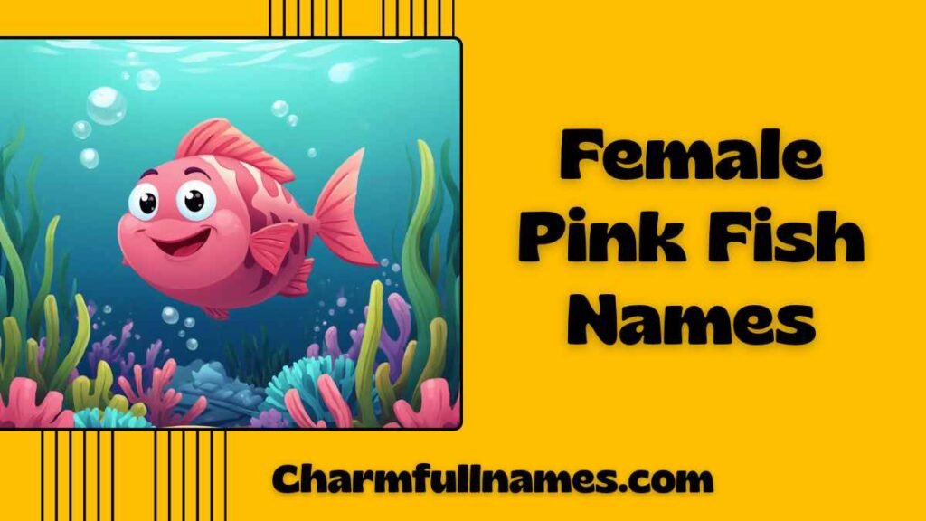 Female Pink Fish Names