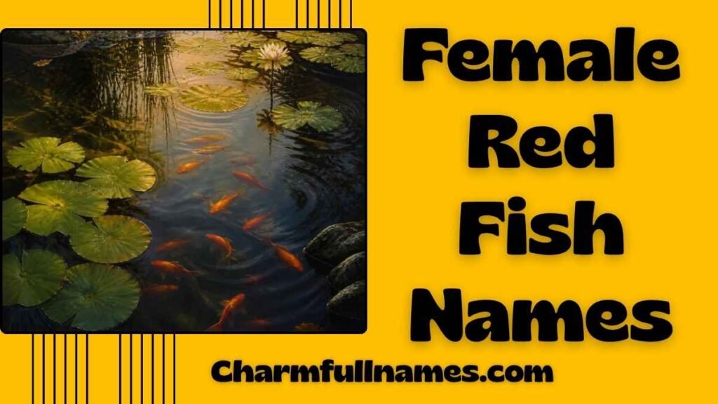 Female Red Fish Names