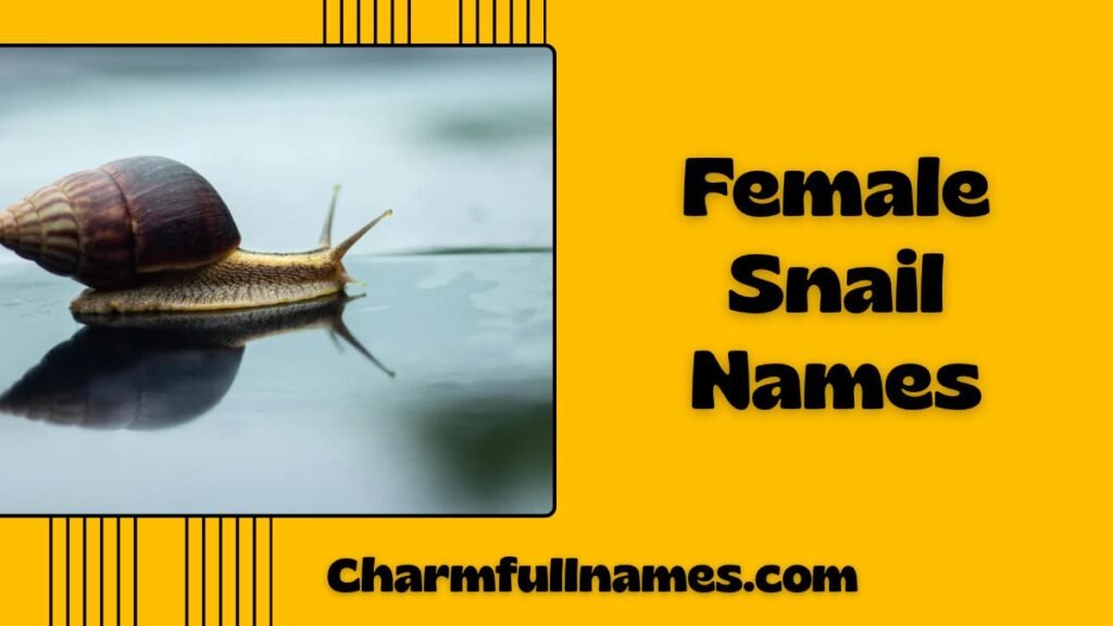 Female Snail Names