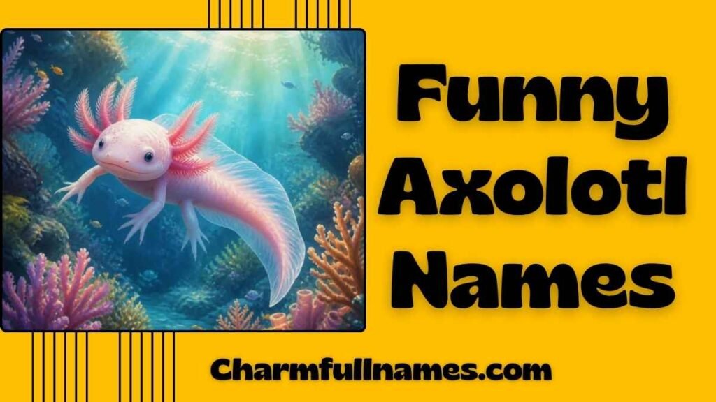 Funny Axolotl Names