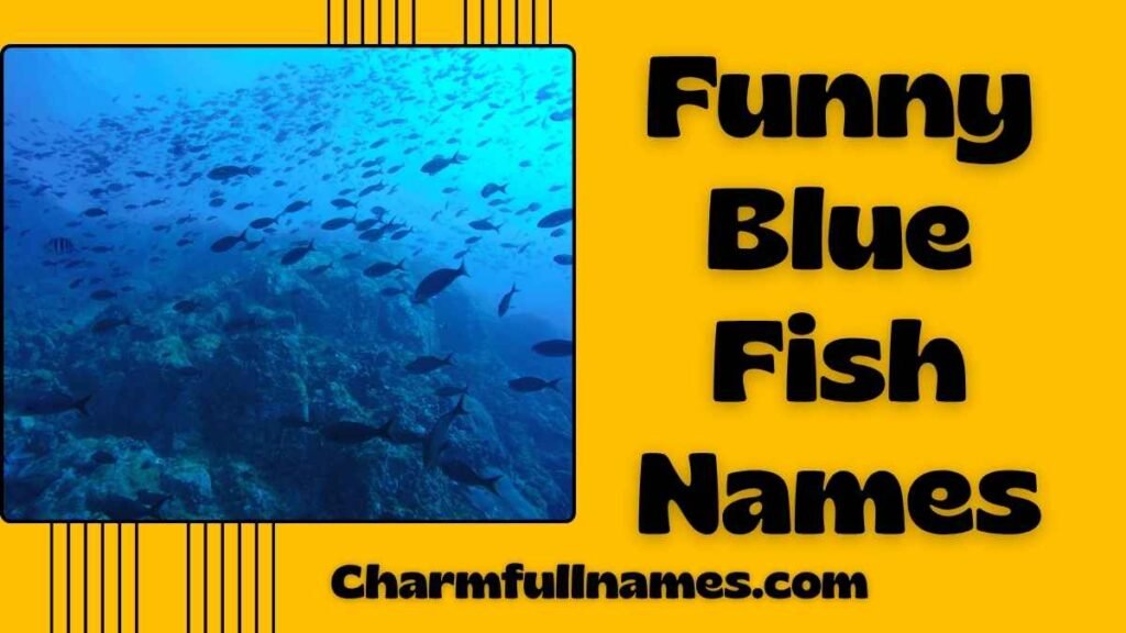 Funny Blue Fish Names