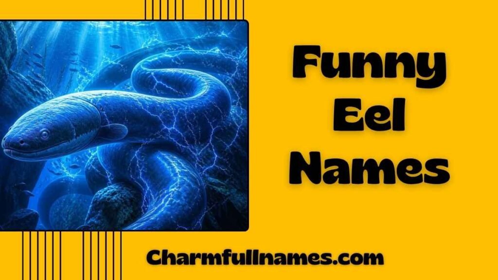 Funny Eel Names