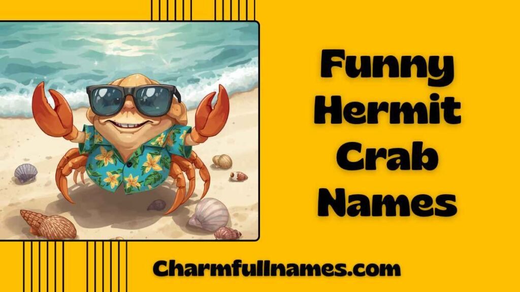 Funny Hermit Crab Names