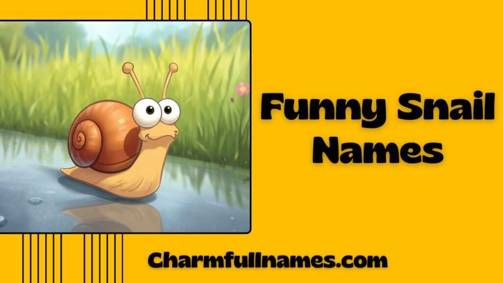 Funny Snail Names