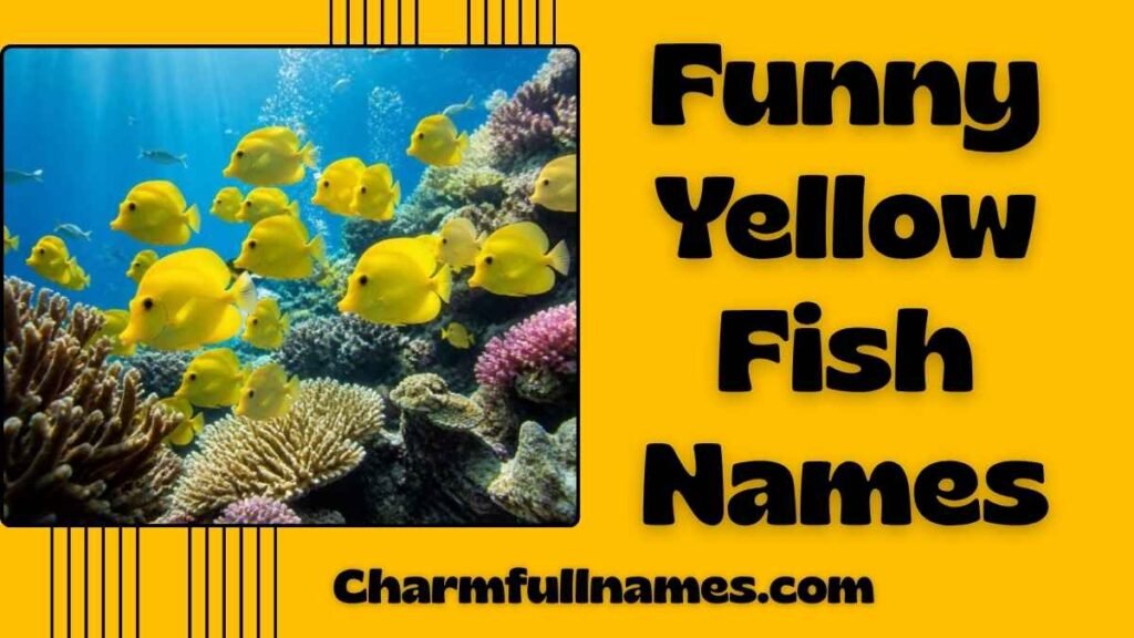 Funny Yellow Fish Names