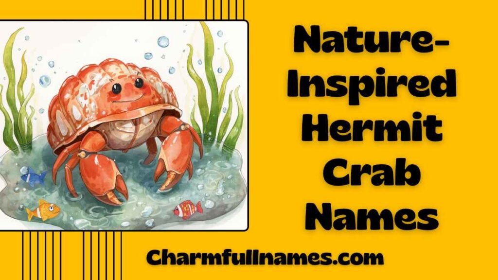 Nature-Inspired Hermit Crab Names