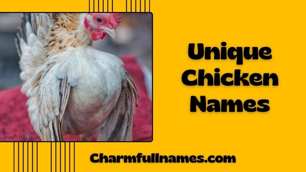 Unique Chicken Names