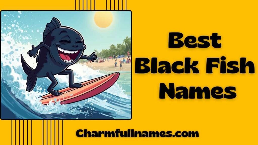 Best Black Fish Names