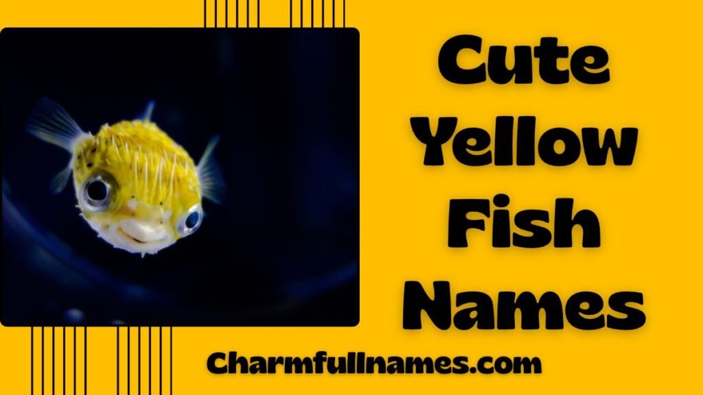 Cute Yellow Fish Names