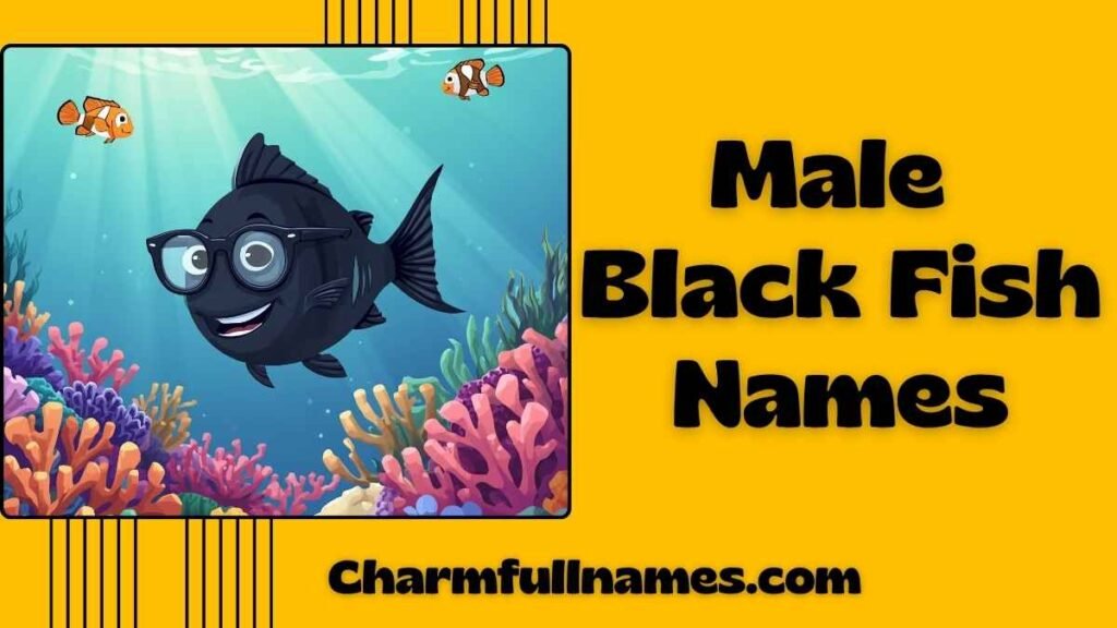Male Black Fish Names