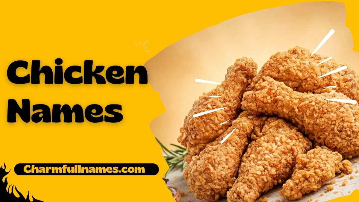 Chicken Names
