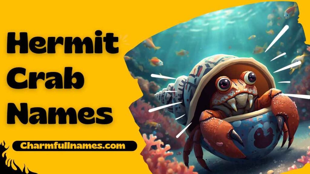Hermit Crab Names