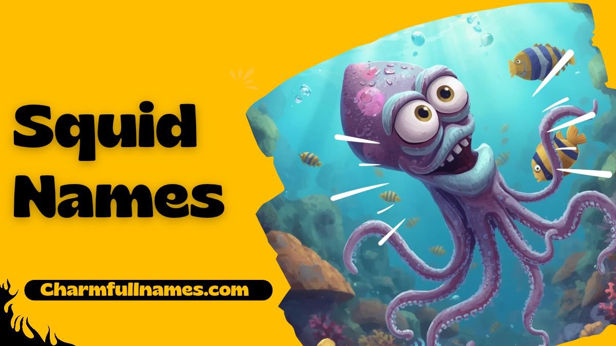 Squid Names
