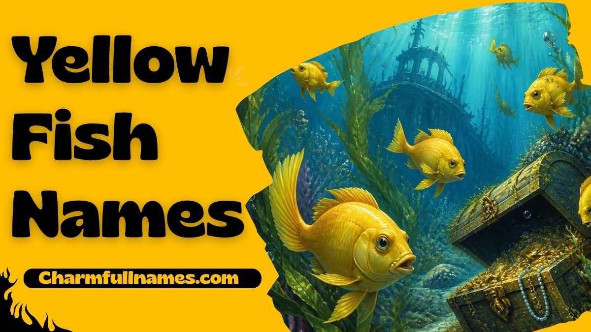 Yellow Fish Names