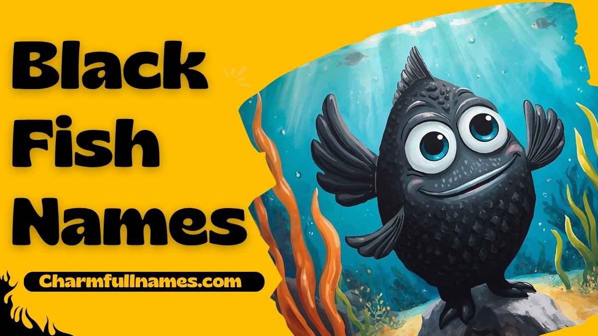 Black Fish Names